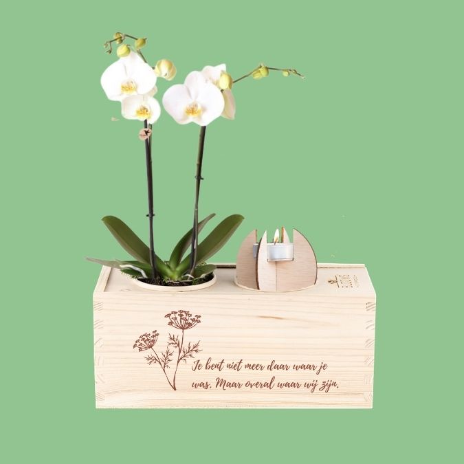 TroostBox 'Hart onder de riem'