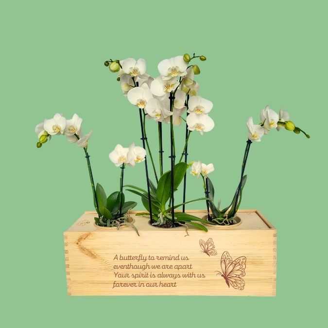 Rouwstuk met orchidee