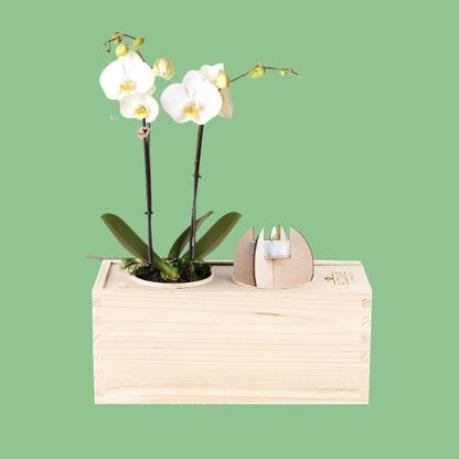 TroostBox 'Hart onder de riem'