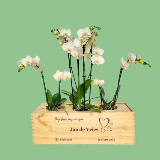 Rouwstuk met orchidee